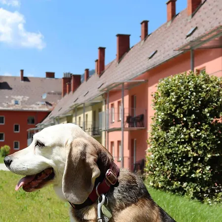 Reichenstein.9 Apartamento Eisenerz